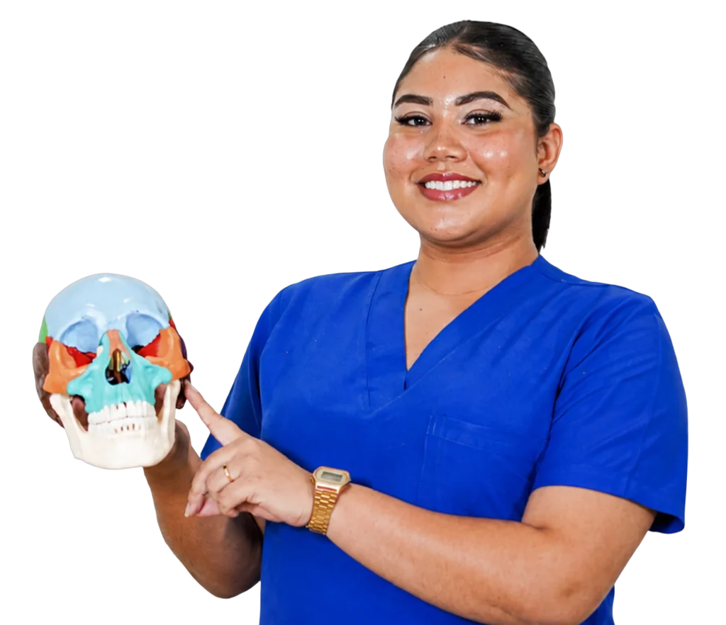 Estudiante de Radiología señalando un modelo anatómico de cráneo